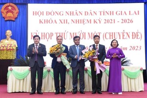 嘉莱省领导向两位新任副主席转授政府总理批准的人事委任《决定》。（图：嘉莱报）