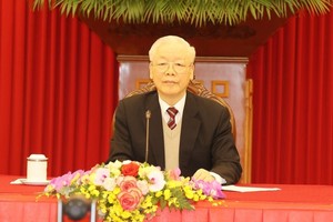 阮富仲总书记与日本首相举行视像会谈