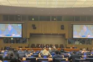 越南常驻联合国公使衔参赞兼任代表团副团长阮黄原出席联合国社会发展委员会第61届会议。（图：越通社）