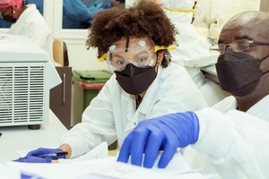 技术人员在赤道几内亚马拉博的巴尼研究实验室进行研究。（图：WHO）