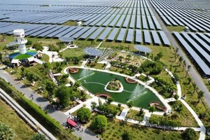 绿色旅游发展趋势渐成时尚。