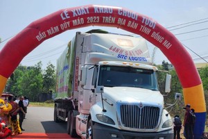 同奈80%香蕉出口中国市场