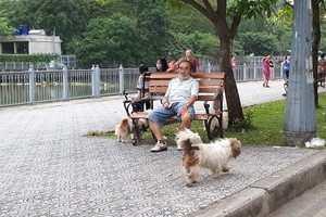 在公园里遛狗。