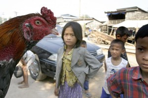 （示意图：互联网）