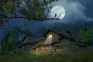 （示意图：互联网）