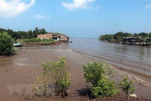 金瓯省富新县丐双环镇5号村是经常发生潮汛来袭的地方，给当地人民的生活和生产造成损失。（图：越通社）