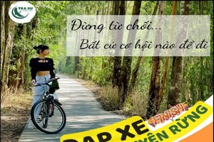 茶师绿色生活体验——森林骑行