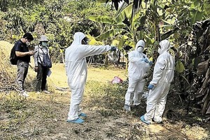 日前柬埔寨当局派调查员到女童所住村落调查。（图：AP）