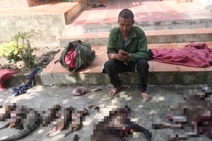 砍伤 3 名林检员的团伙被捕