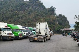 今年前两个月贸易顺差激增