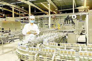 产品质量标准化有助越南奶品股份公司增加出口订单。