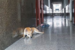 （示意图：互联网）