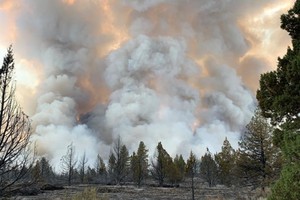 这几年高温与干旱引发的大规模森林野火不断，已释放出大量二氧化碳，增加暖化负担。