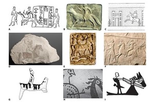 人类骑马最早证据可追溯到约5000年前