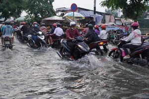 本市在两年内已成功解决12条街道因雨水和潮汛所造成的水淹情况。