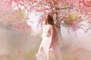 （示意图：互联网）