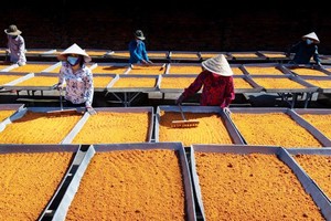 西宁传统制盐手工业最近获公认为非物质文化遗产。