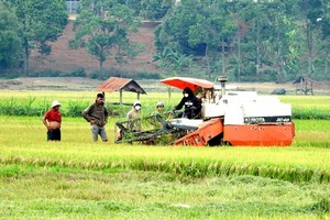 传统农业模式正逐渐向现代农业转变。（图：Langngheviet）