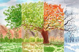 （示意图：互联网）