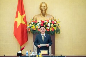 加强越南国会与外国议员合作关系