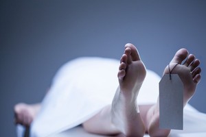 （示意图：互联网）