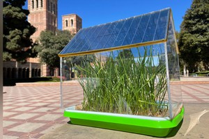 新型温室用有机太阳能板有助植物生长