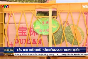 （图：VTV视频截图）