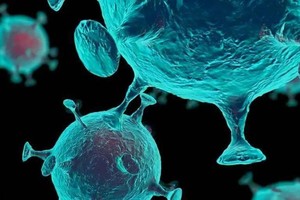 （示意图：互联网）