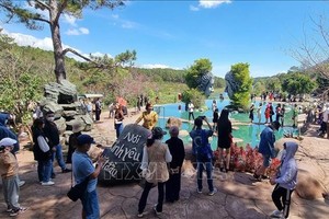 林同省旅游黄金周即将举办