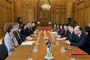 越南代表团与经济合作与发展组织领导举行工作会议。（图：越通社）