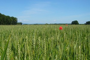 （示意图：互联网）