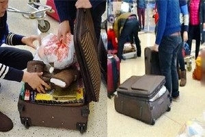 （示意图：互联网）