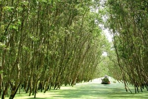 越南旅游业关注于保育工作以可持续发展。