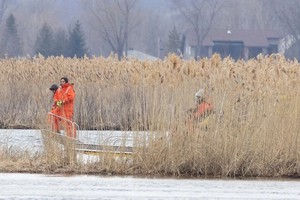 当地时间3月31日，志愿者在魁北克省阿克维萨斯尼的沼泽地寻找失踪移民的尸体。（图：路透社）