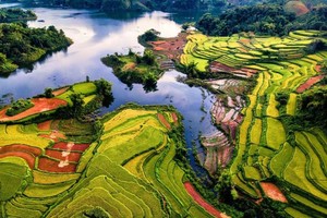 纳杭红太梯田的美景。