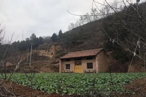 （示意图：互联网）