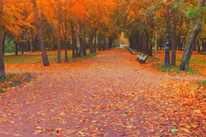 （示意图：互联网）