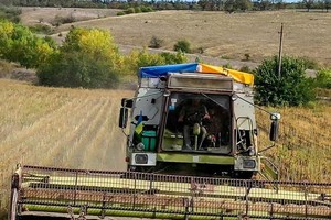 乌克兰战争意味着人民粮食遇到危机。（图：互联网）