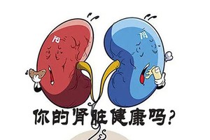 警惕12种因素引发慢性肾病