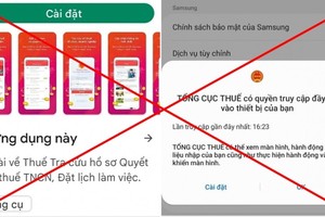 冒充市税务局的应用程式。（图：视频截图）
