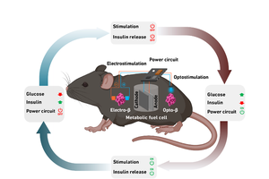 本系统演示如何自主运作的原理。（示意图：ETH Zurich）