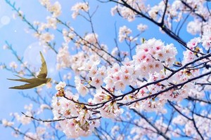 （示意图：互联网）