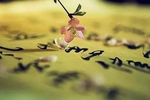 （示意图：互联网）