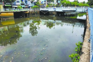 饶禄-氏艺涌浮满死鱼