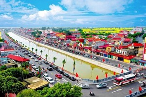 海防市永宝县一隅。（图：海防报）