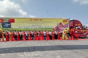 首批番薯通过正贸渠道出口中国