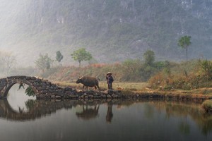 （示意图：互联网）