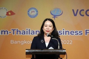 国家副主席武氏映春出席峰会并发表讲话。（图：越通社）