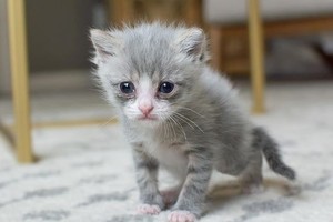 （示意图：互联网）