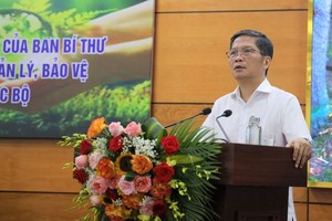 中央经济部部长陈俊英在会议上发言。（图：VGP）